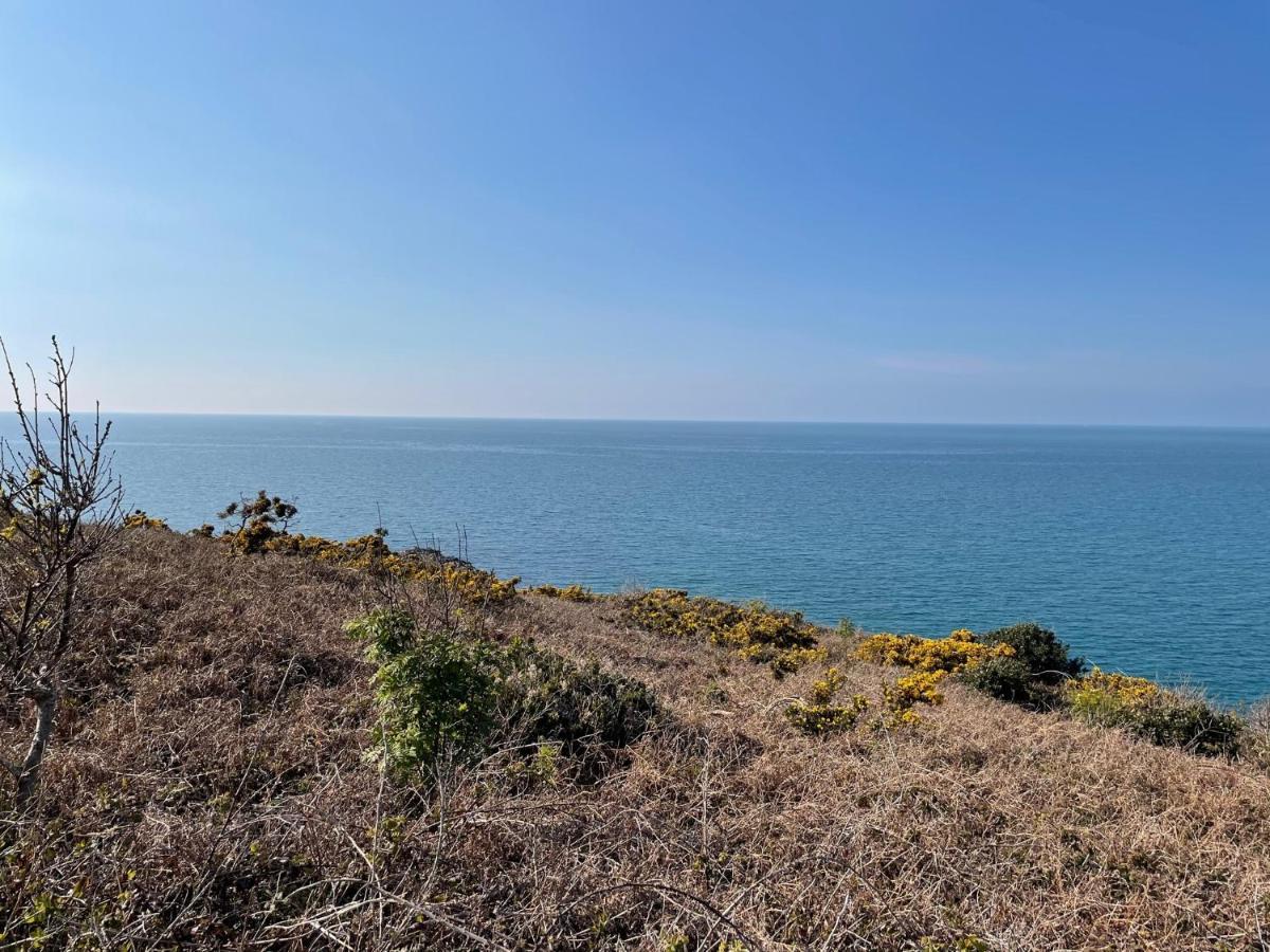 Au Petit Brick - Cosy Beachfront House Maupertus-sur-Mer Luaran gambar